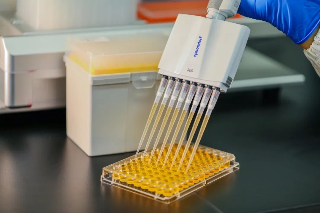 Kādi pipetes uzgaļi ir jums piemēroti?